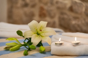 Villa with Private Heated Pool in Bol