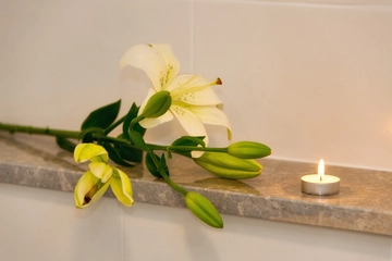 Villa with Private Heated Pool in Bol