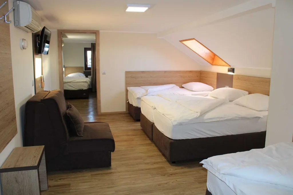 Room for up to 7 Guests in Hajdina, Slovenia