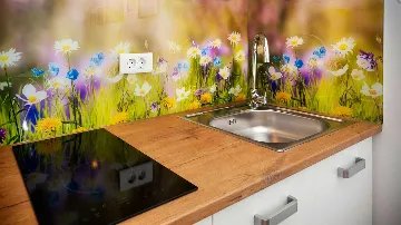 Apartment with Garden Terrace in Rovinj