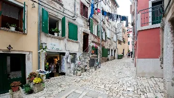 Rovinj One-Bedroom Apartment for up to 4