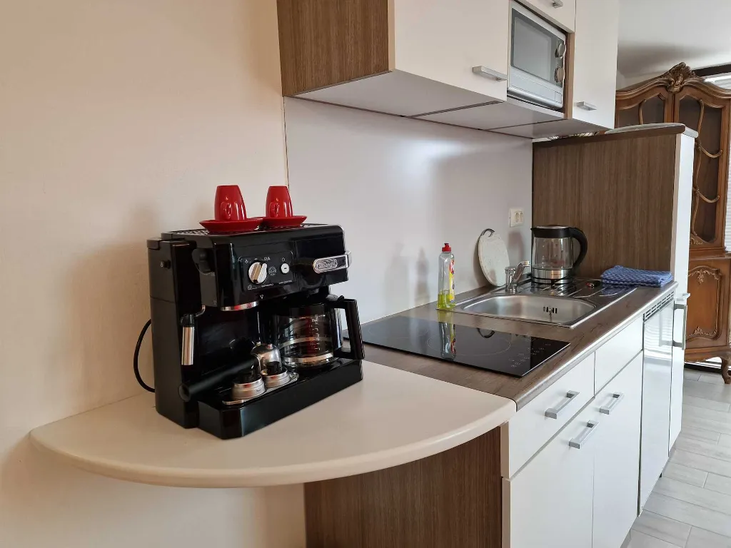 Rovinj Apartment for 3 Guests with Balcony