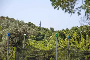 Rovinj Apartment for 3 Guests with Balcony