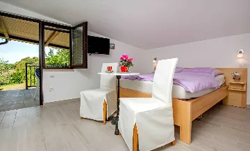 Studio Apartment with Balcony in Rovinj