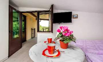 Studio Apartment with Balcony in Rovinj