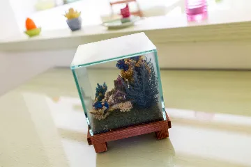 Rovinj Studio Apartment with Balcony for 3 Guests