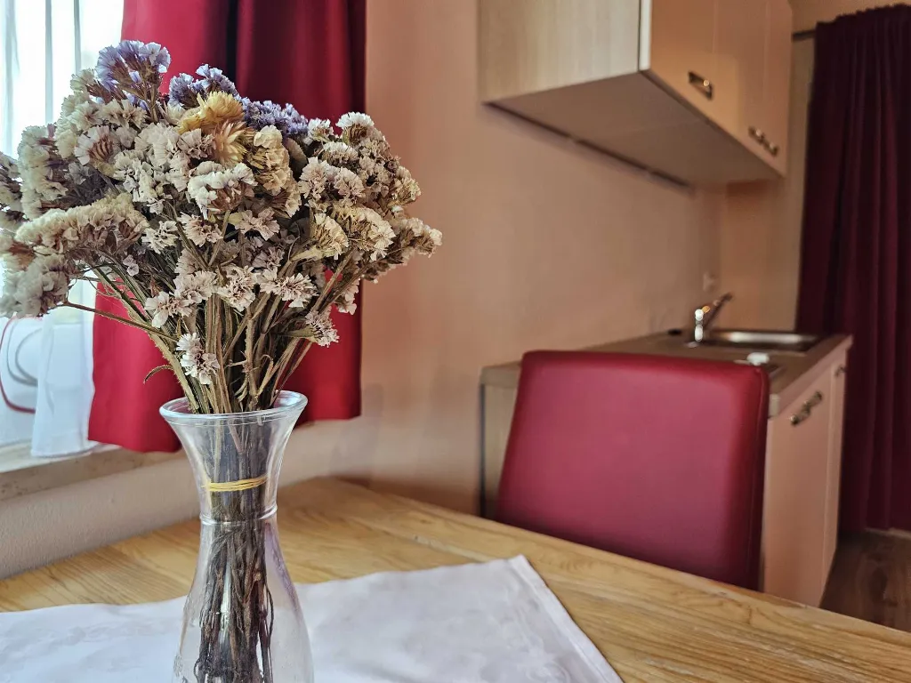 Rovinj Studio Apartment for 2 with Private Parking