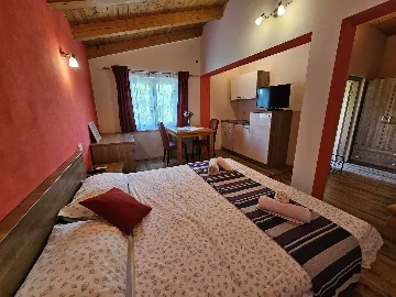 Rovinj Studio Apartment in Štanjera for 3 Guests