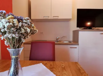 Rovinj Studio Apartment in Štanjera for 3 Guests