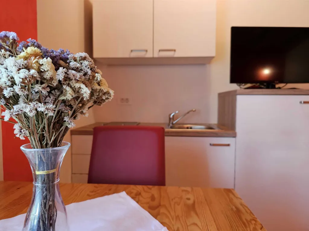 Rovinj Studio Apartment in Štanjera for 3 Guests
