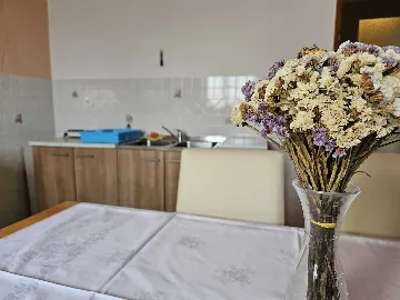 Rovinj Apartment with Terrace & Parking for 4