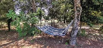 Holiday House for Up to 8 Guests in Rovinj