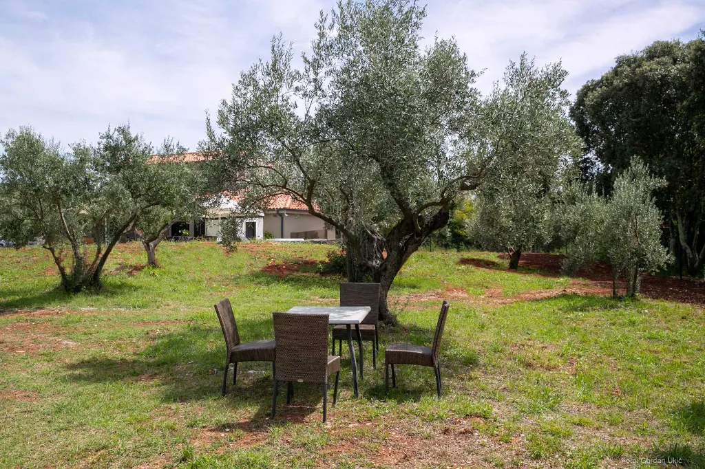 3-Bedroom Villa with Pool in Rovinj for 6 Guests