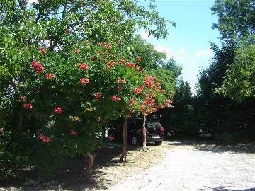 One-Bedroom Apartment in Pula with Parking