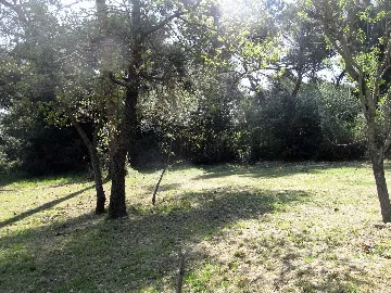 One-Bedroom Apartment in Pula with Parking