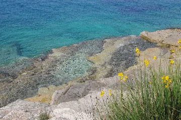 1-Bedroom Apartment in Banjole with Parking