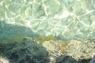 Apartment in Premantura for 2 guests