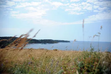 Apartment in Premantura for 2 guests