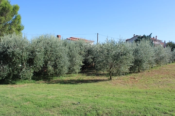 7-Bedroom Villa in Ližnjan for Up to 13