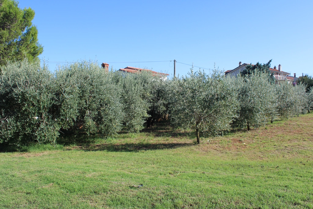 7-Bedroom Villa in Ližnjan for Up to 13