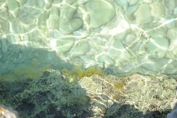 Pula Studio with Private Entrance and Terrace