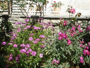 Pula 2-Bedroom Apartment for 4 Guests with Parking