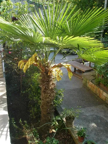 Pula 2-Bedroom Apartment for 4 Guests with Parking