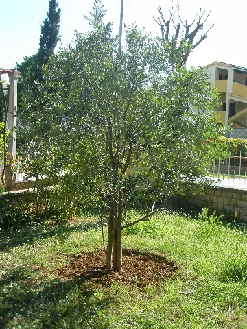 Pula 2-Bedroom Apartment for 4 Guests with Parking