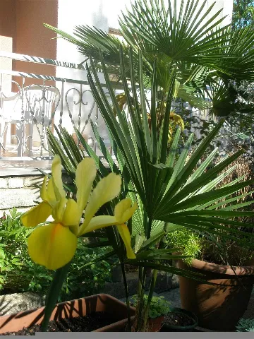 Pula 2-Bedroom Apartment for 4 Guests with Parking