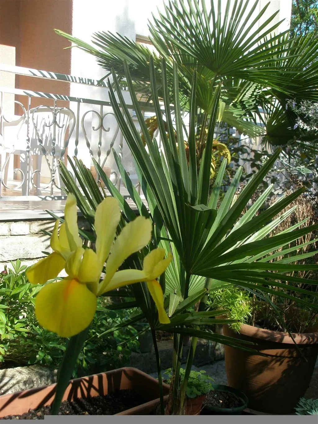 Pula 2-Bedroom Apartment for 4 Guests with Parking