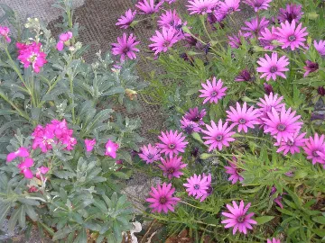 Pula 2-Bedroom Apartment for 4 Guests with Parking