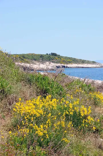 Pula 2-Bedroom Apartment for 4 Guests with Parking