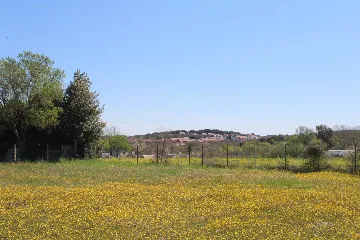 Apartment for 2 with BBQ and Yard in Fažana