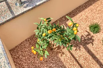 Pet-Friendly 2-Bedroom Apartment in Vinkuran