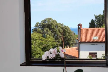 One-Bedroom Apartment for 3 in Premantura