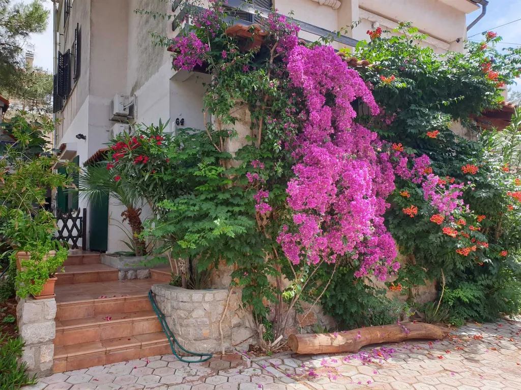 1-Bedroom Apartment in Mali Lošinj (Sleeps 4)