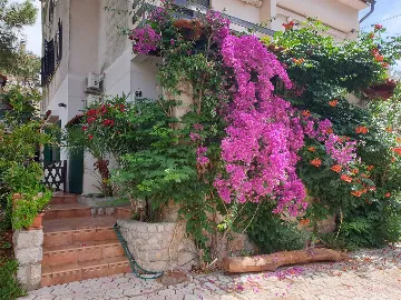 1-Bedroom Apartment in Mali Lošinj (Sleeps 4)