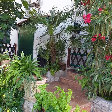 Studio Apartment for 2 in Mali Lošinj