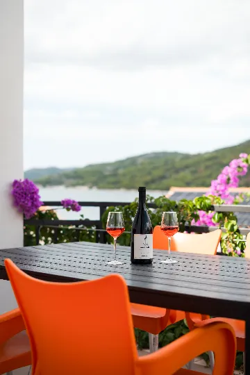 Coastal Serenity Apartment Seget Vranjica