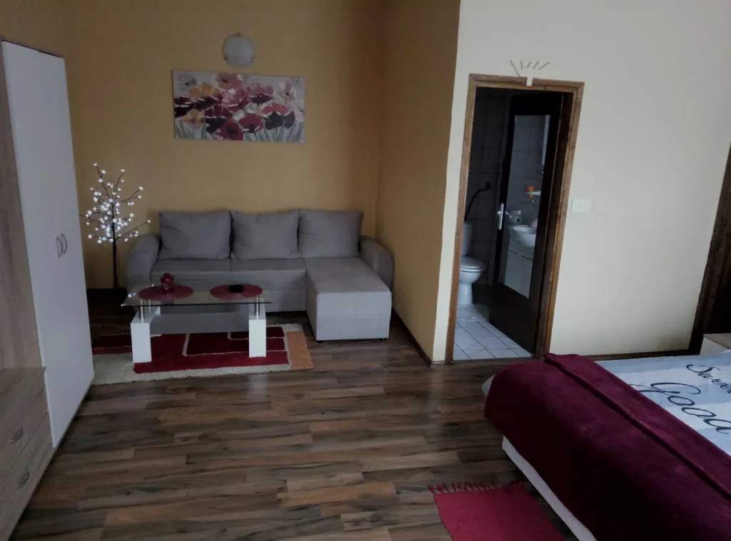 Double room with bathroom “Zeko” - Aljmaš center