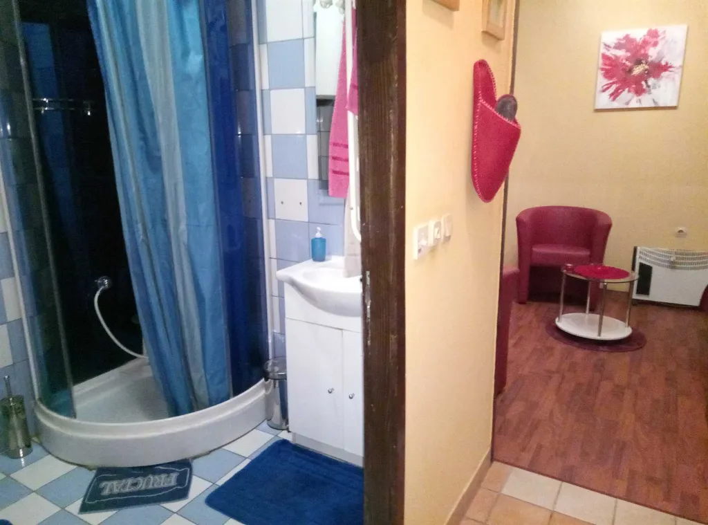 Double room with bathroom “Zeko” - Aljmaš center