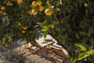 Seaside Infinity Villa with Private Estate, Molunat