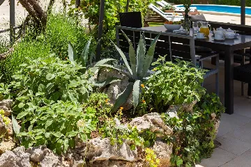 Ground Floor Apartment with Pool in Vodice