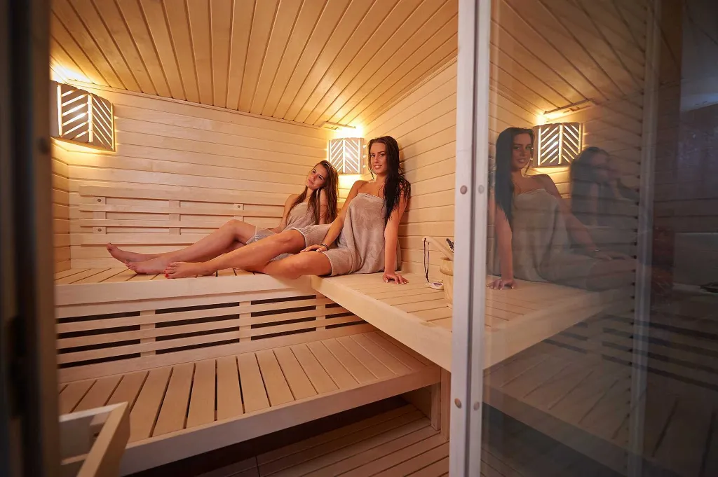 Contemporary Villa with Pool and Sauna in Jesenice