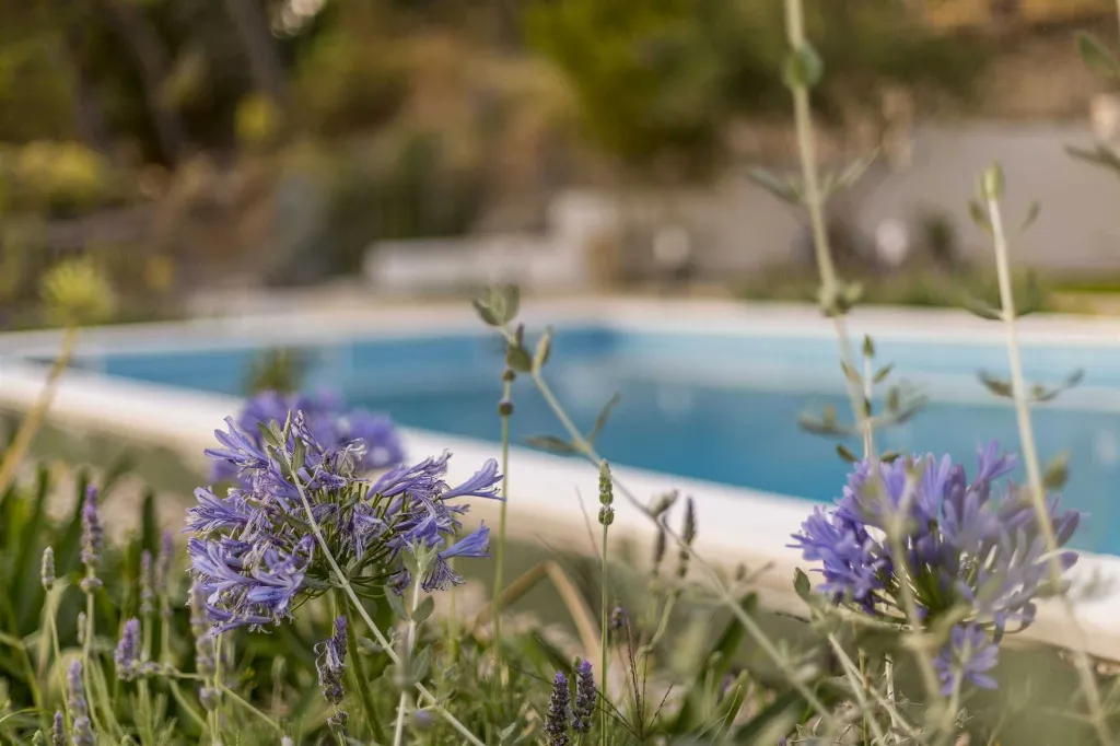 Spacious Family Villa with Pool in Podstrana