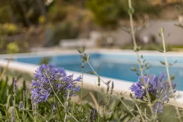 Spacious Family Villa with Pool in Podstrana