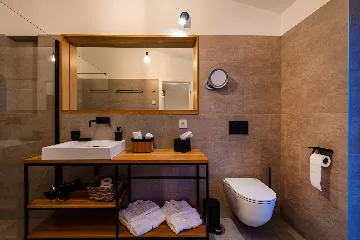 Modern Poolside Villa in Žman