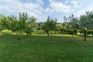 Spacious Family Villa with Pool in Novigrad