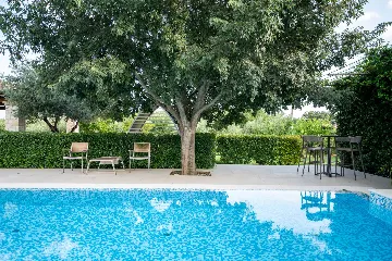 Spacious Family Villa with Pool in Novigrad