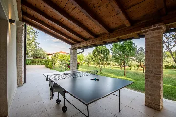 Spacious Family Villa with Pool in Novigrad
